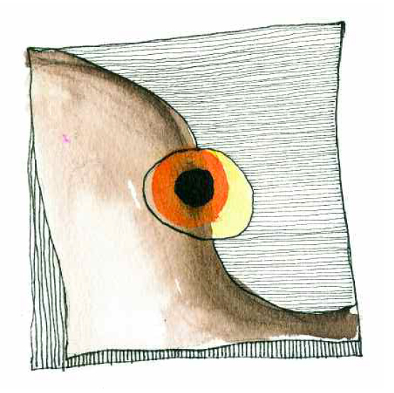 grafica