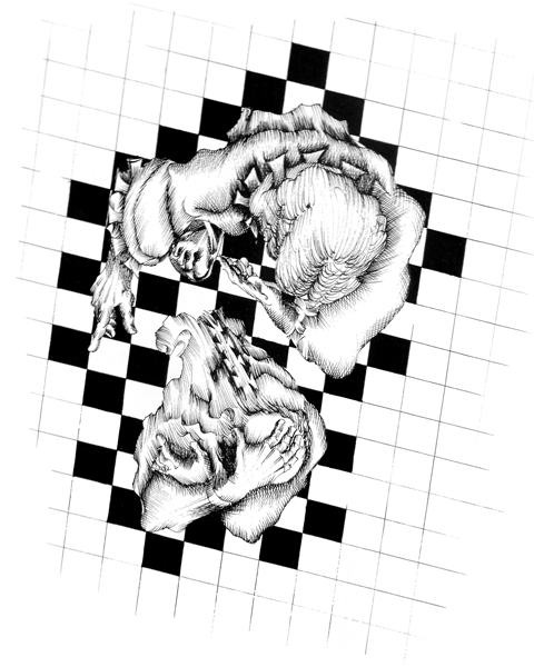 grafica