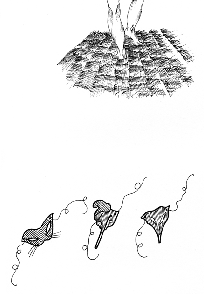 grafica