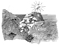 icona20